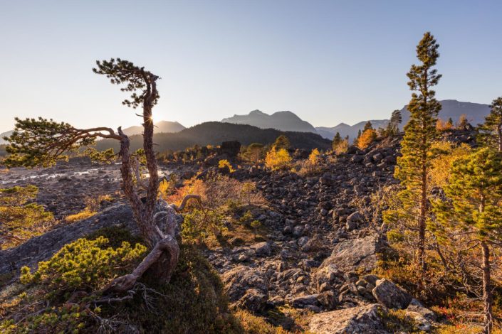 La ruska, des Lofoten aux Alpes de Lyngen