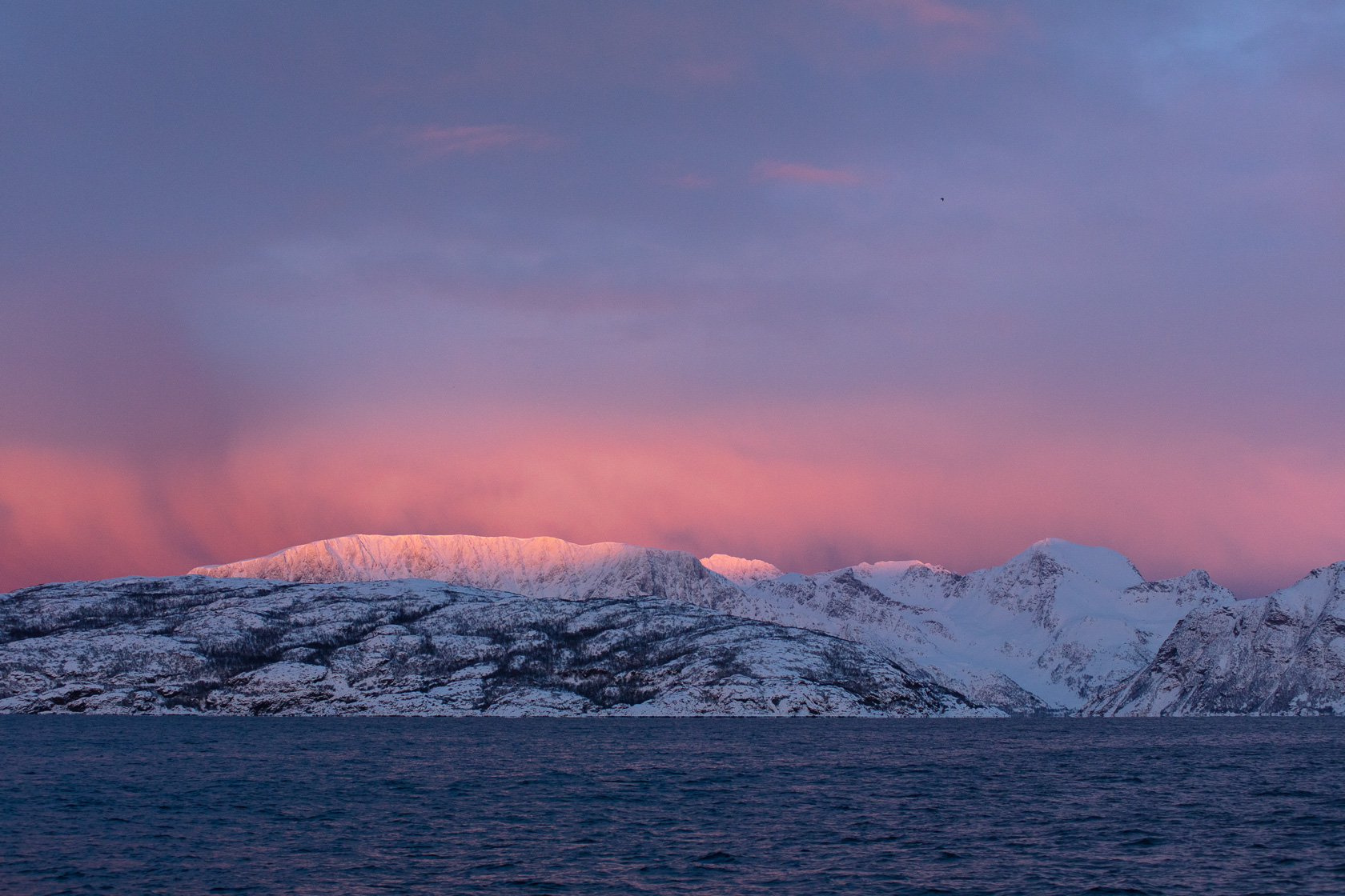 lumière de janvier dans les fjord au nord des Alpes de Lyngen, pendant un voyage photo en Norvège