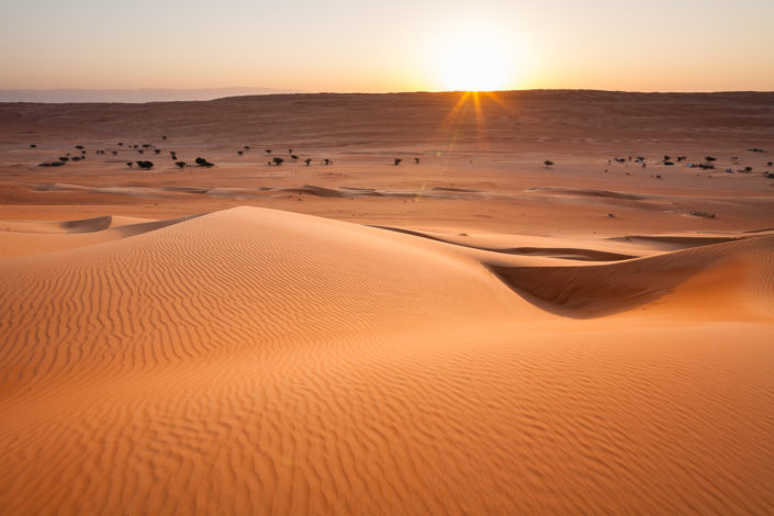 Nature & déserts de l’Arabie heureuse