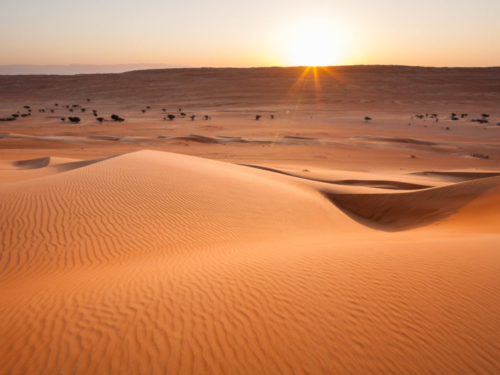 Nature & déserts de l'Arabie heureuse