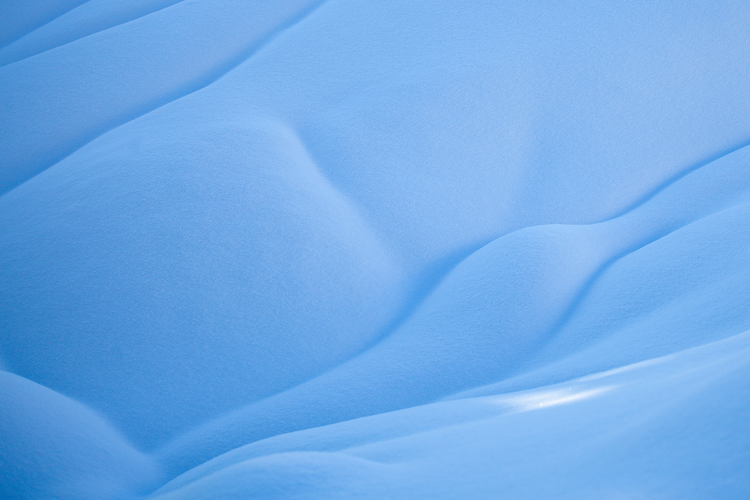 détails de la neige pendant le stage photo Bauges en hiver